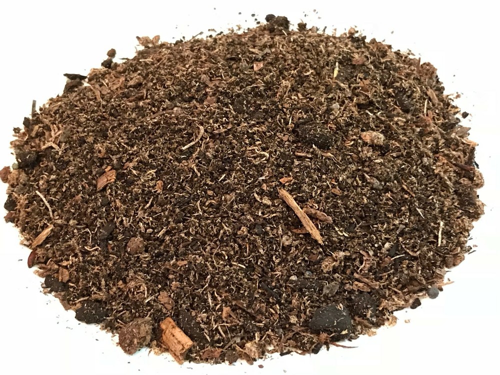 Premium Potting Soil Mixture for Ferns