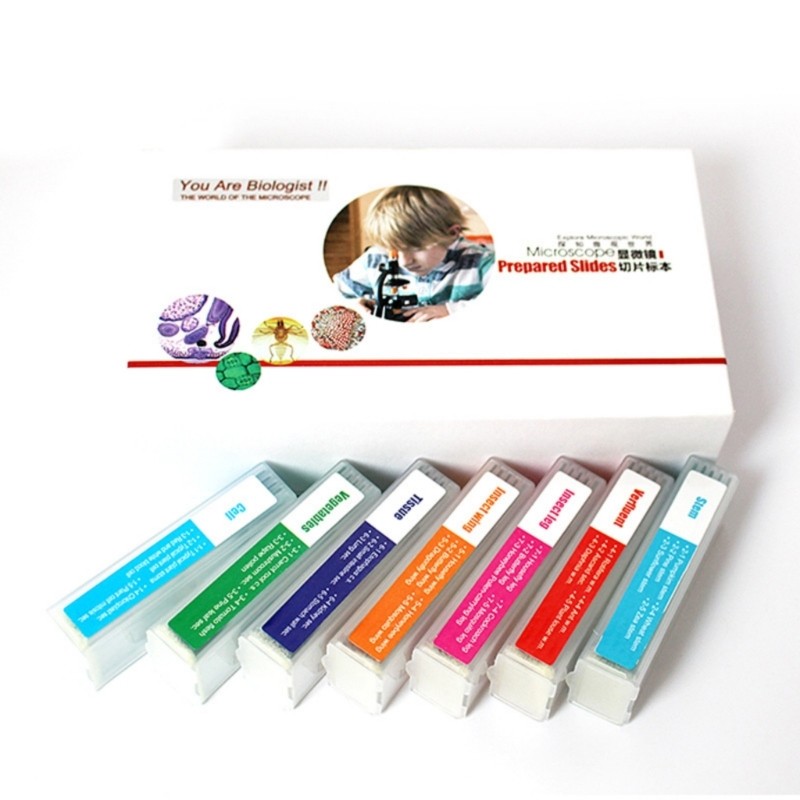 35PCS Strong Microscope Prepared Slides Seven Biological Specimens for Science
