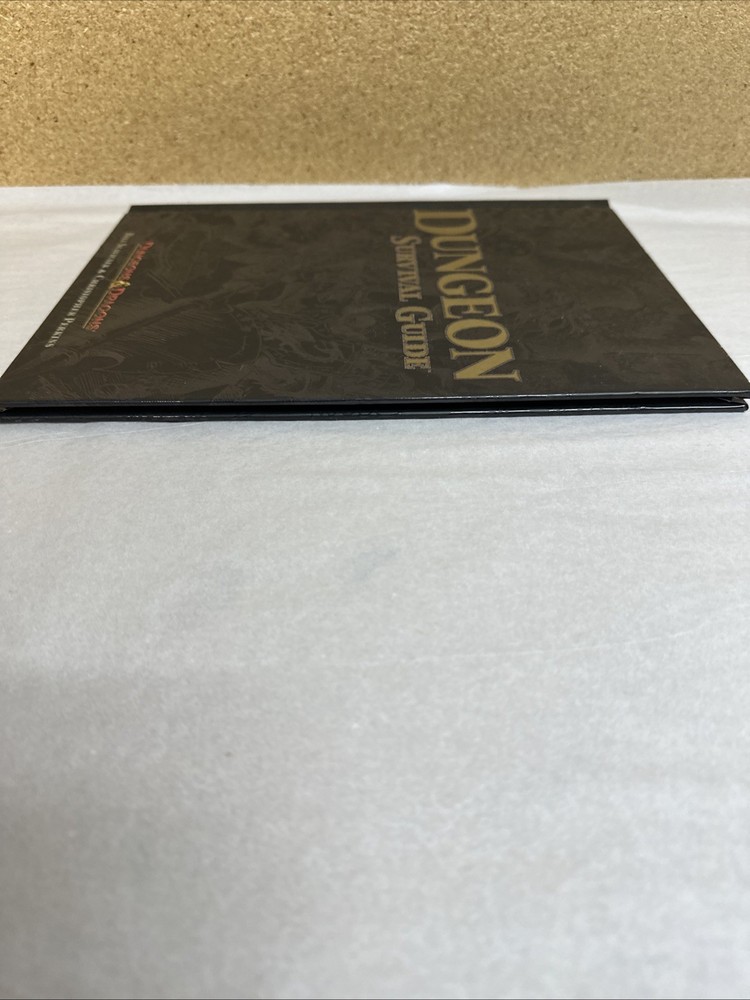 Dungeon Survival Guide D20 Dungeons & Dragons