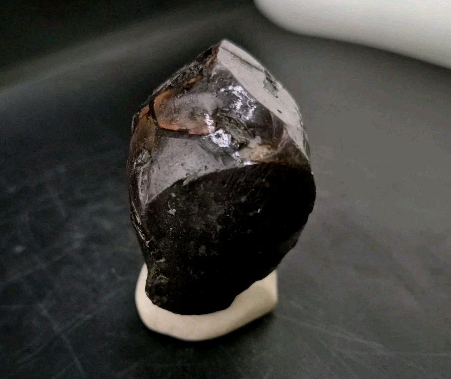 Real Fossil Dinosaur Egg Opalized