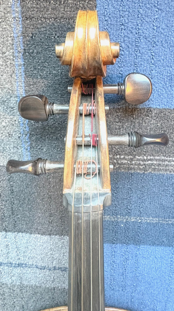 Tomasucci Cigno Old Italy 4/4 Cello