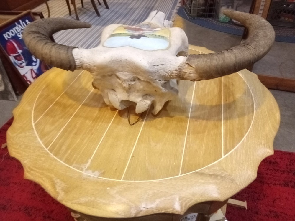 Charles E. Palmer Signed and Painted Bison Skull