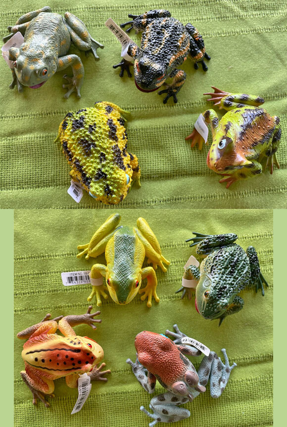 Exotic Frogs and Toads - Hollow Vinyl