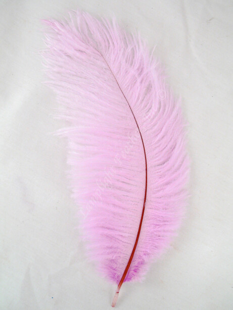 Orchid Mini Ostrich Feathers 5-8 Inch Per 24