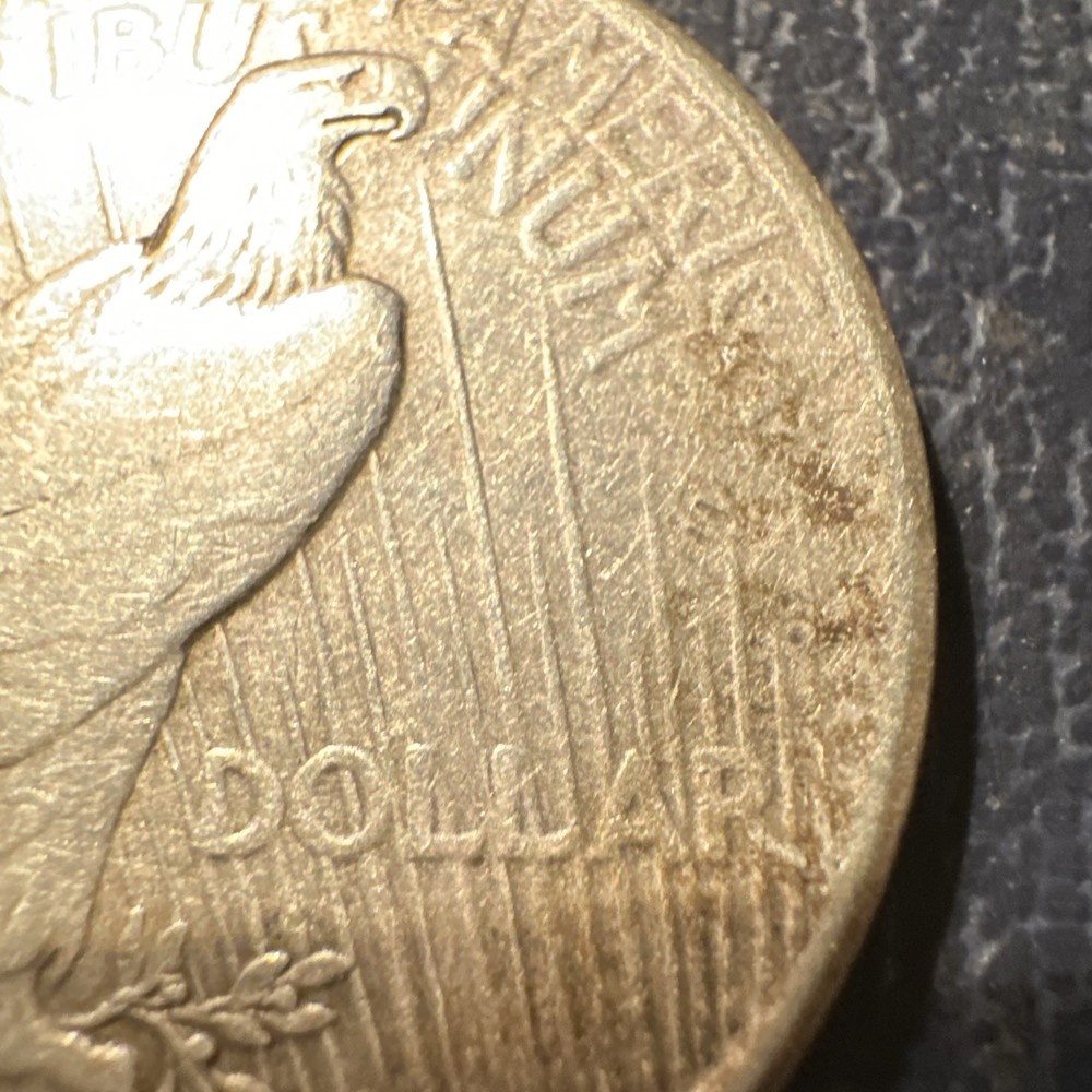 1925 peace silver dollar