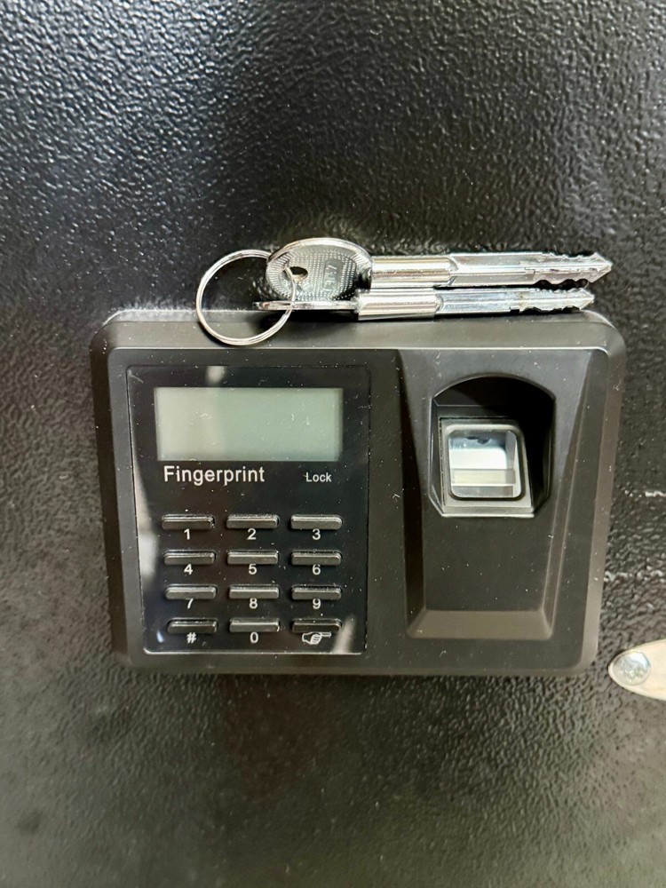 BlumSafe Wall Safe Steel Door with Code Panel, Fingerprint Reader, and 2 keys