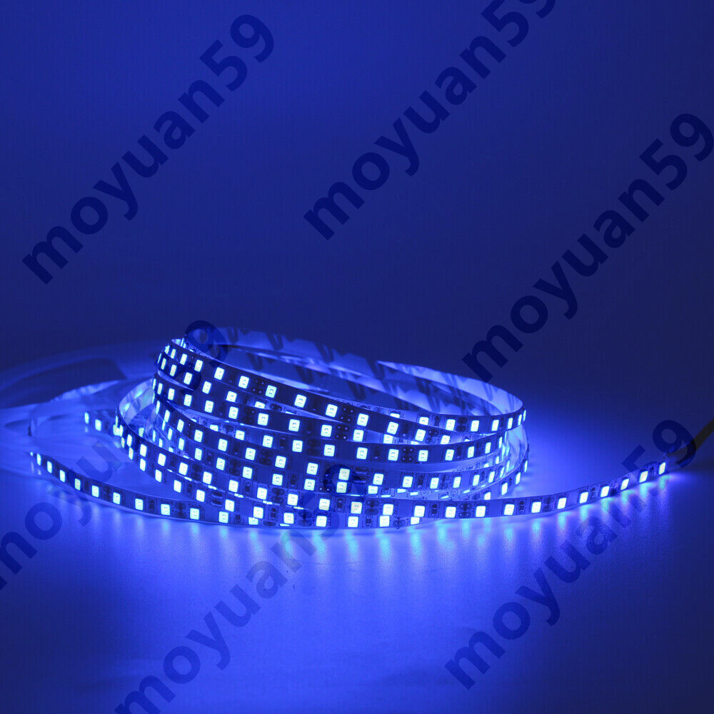 Blue Neon Glow EL Wire String Strip Decor Boat LED Light Car Party + Controller