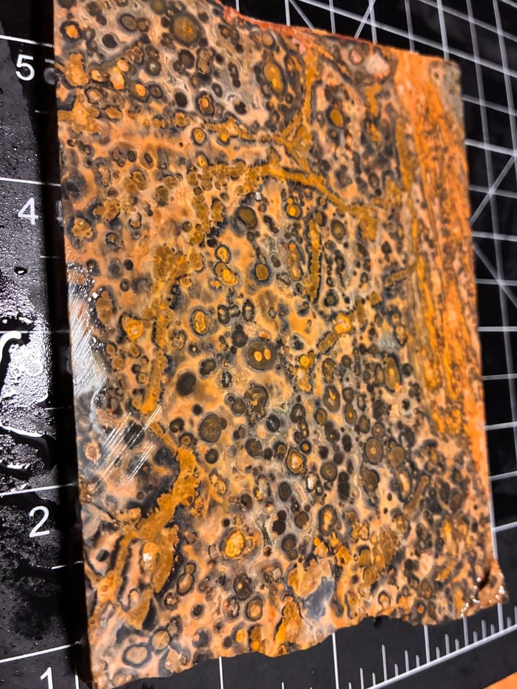 OLD CLASSIC LEOPARD JASPER SLABS (TWO) @ 500 Grams GOOD STUFF