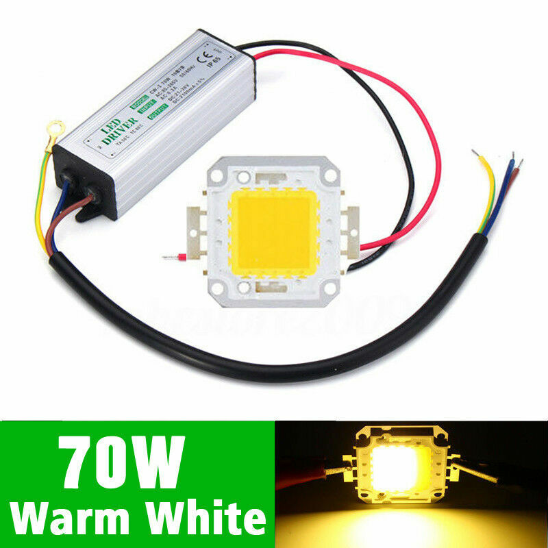LED Driver + COB Chip 100W 50W 30W 20W 10W Power Supply Transformer Bulb Lights