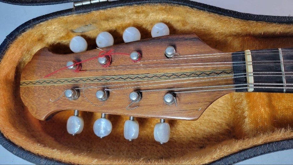 Wooden archtop handicraft mandolin 8 strings with case