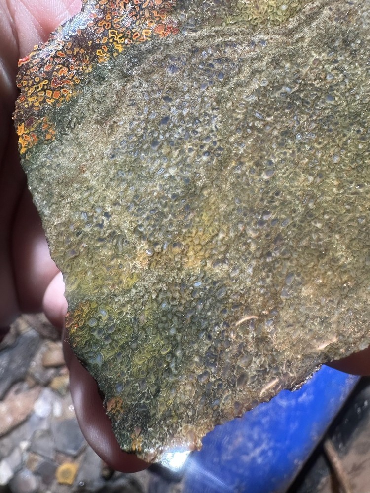 Dinosaur bone rough **hxtled slab.