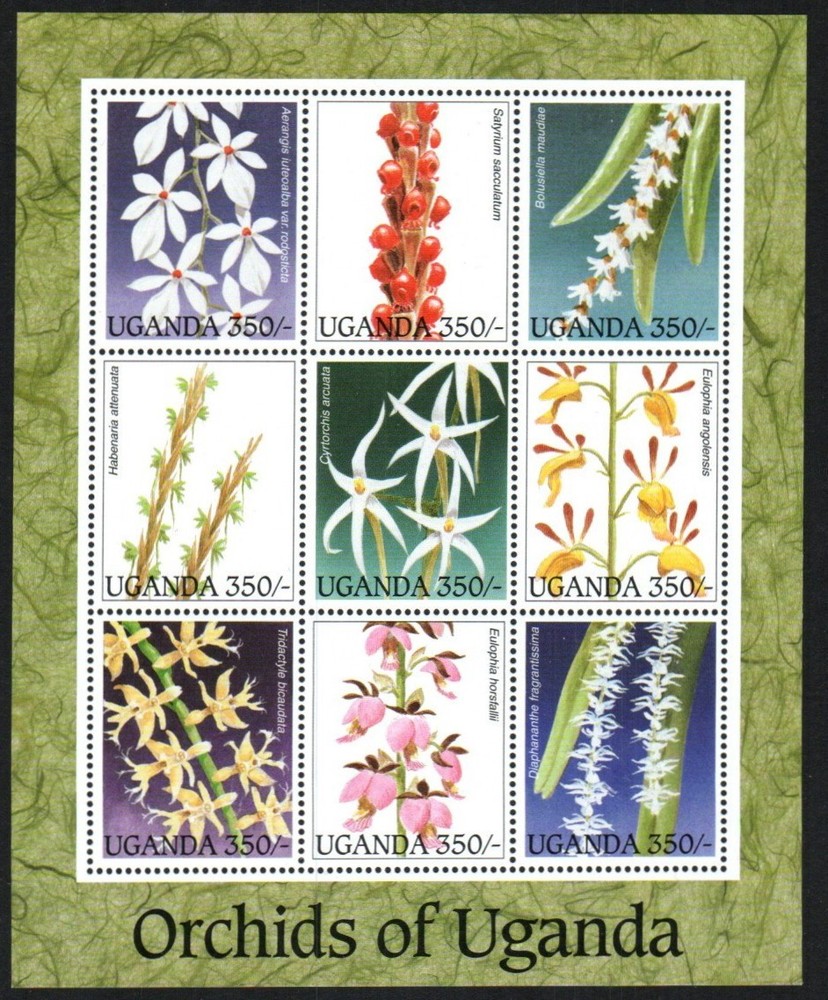 Uganda Stamp 1389  - Orchids