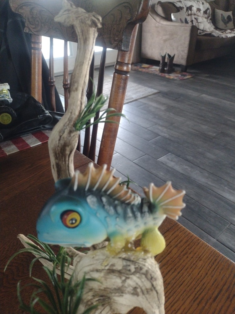 Moss Eater Flexi Fish On Driftwood