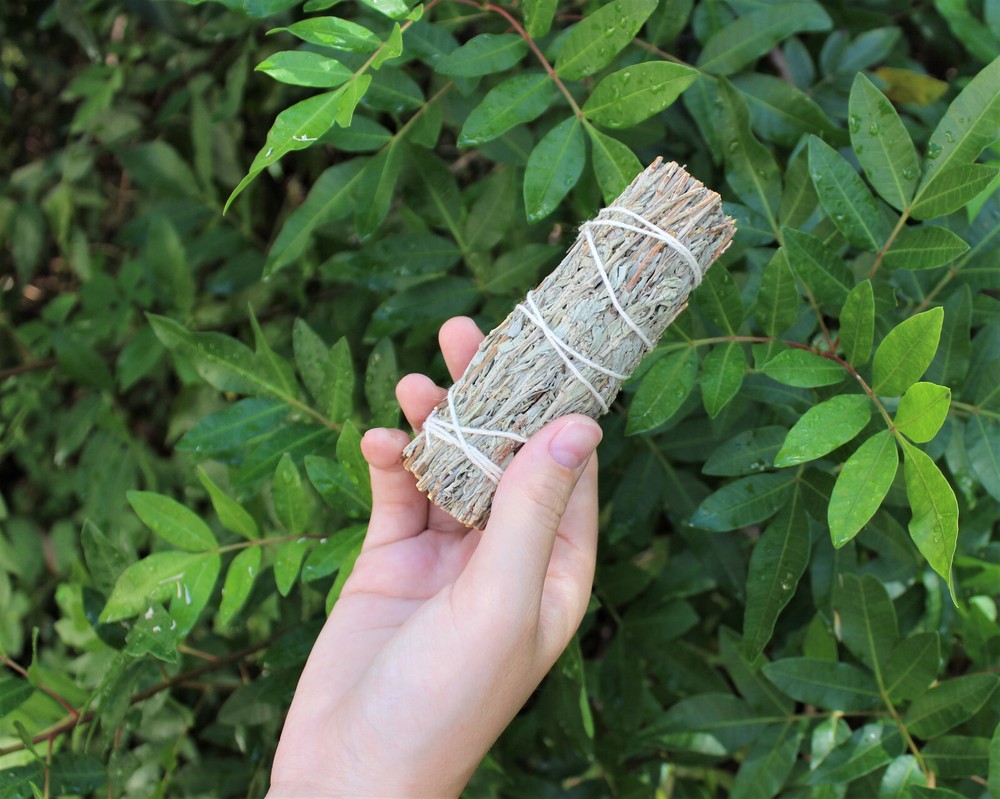 Prosperity Sage Smudge Stick: 3 Pack (Mountain Sage & Pinon Pine Blend)