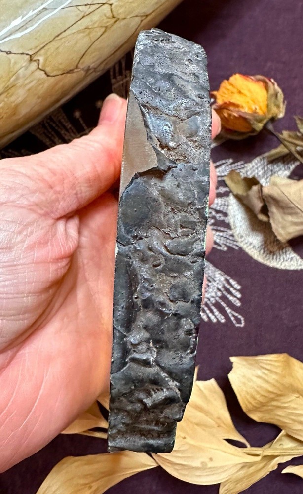 Real Cicada In Resin, Ethically Sourced, Witchcraft