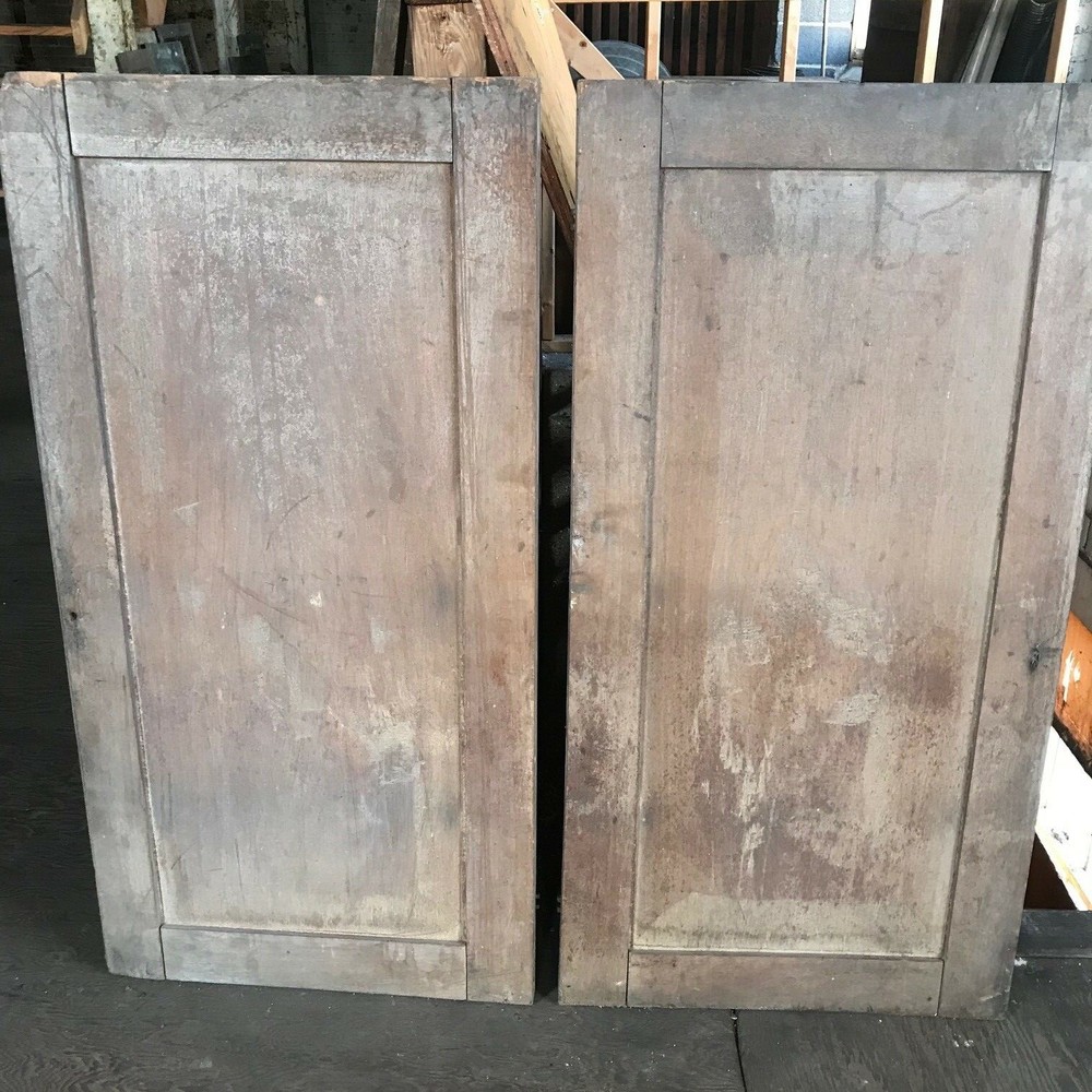 Pair of Early Walnut Paneled Doors from a Cupboard