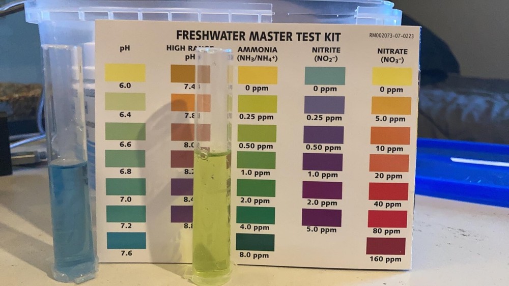 POND MASTER TEST KIT Pond Water Test Kit 500-Test