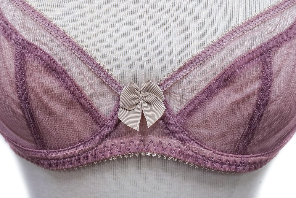 Claudette Dessous Mesh Full Coverage Bra CD2000 Twilight Matchstick