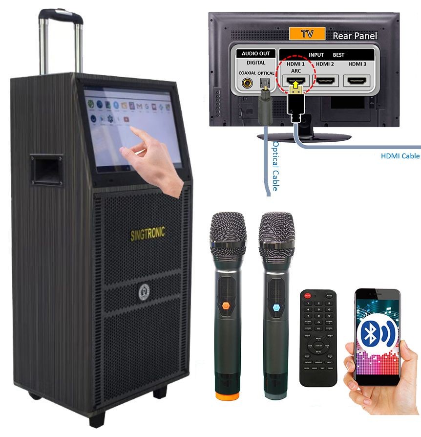 Professional Karaoke System 1000W Powered 12" Bluetooth Speakers & Mics