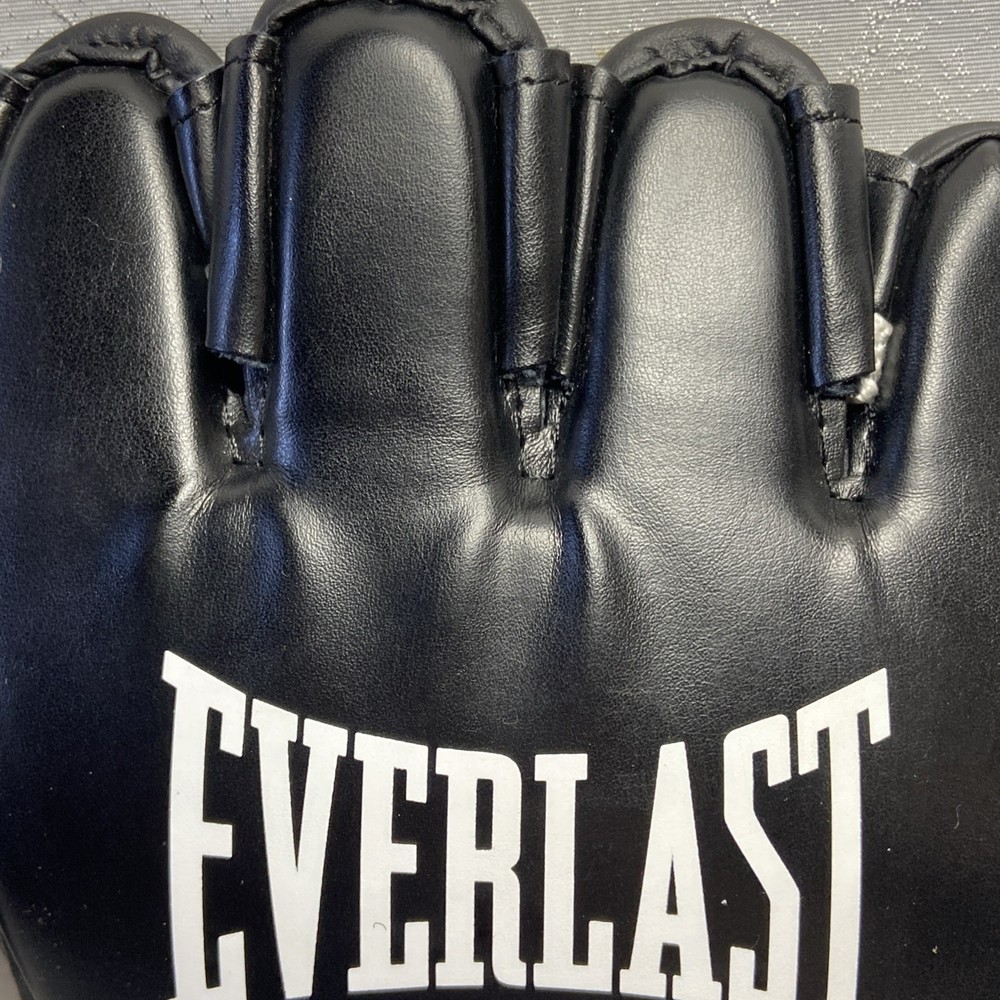 Everlast MMA Training Gloves L/XL