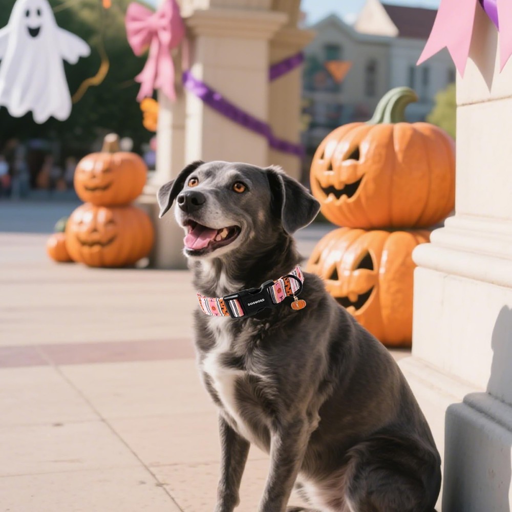 M Pink Halloween Fall Dog Collar, Adjustable, Classic, Small, Medium, Large