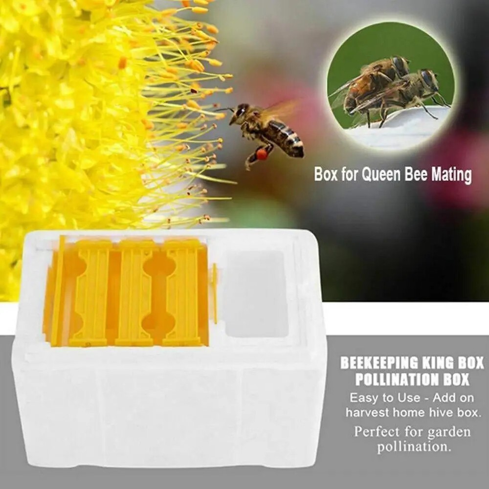 Beekeeping King Box Pollinator Pollination Box Foam Frames Harvest BeeHive Box