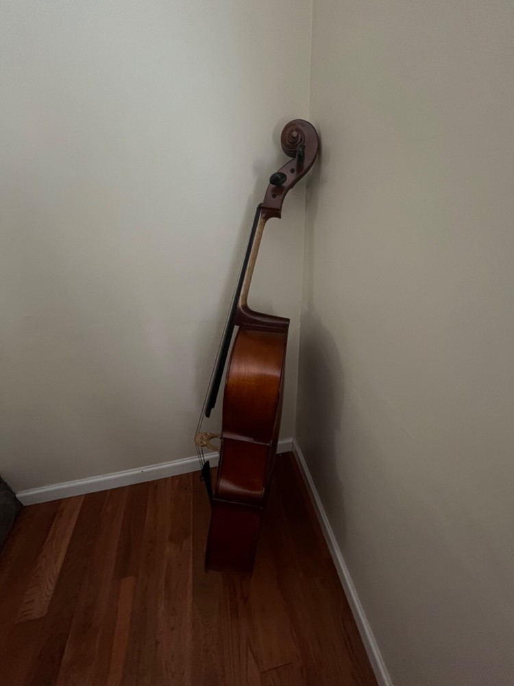 cello string instrument