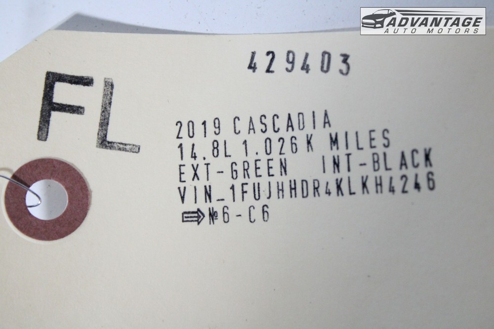 2017-2024 FREIGHTLINER CASCADIA 126 FRONT LEFT DRIVER B PILLAR GRAB HANDLE OEM