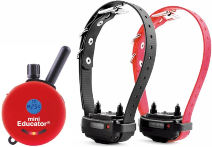 E-Collar Technologies Educator Mini Dog Training Collar 1/2 mile Range ET-300