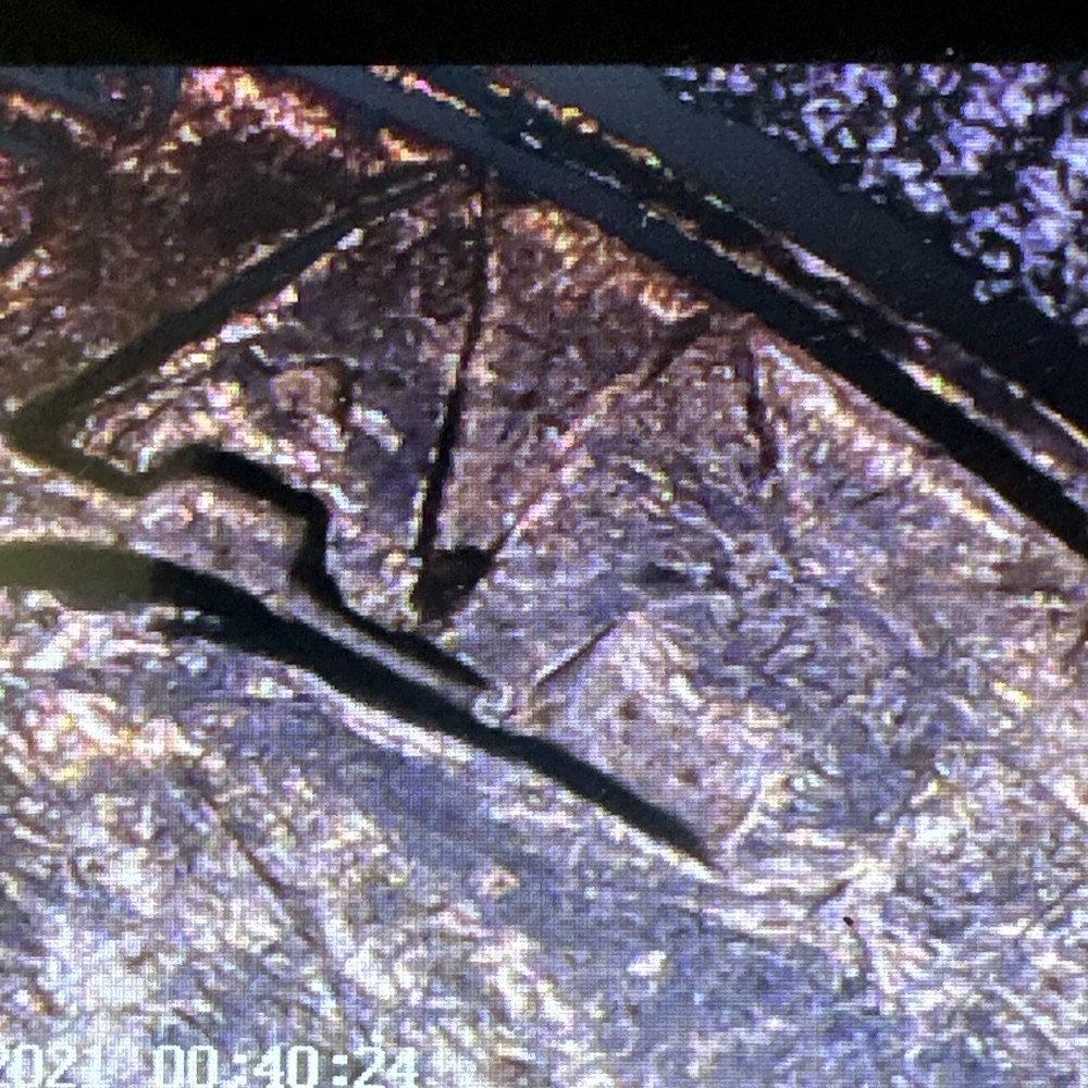 1974 WASHINGTON QUARTER- STRUCK THROUGH GREASE ERROR REVERSE