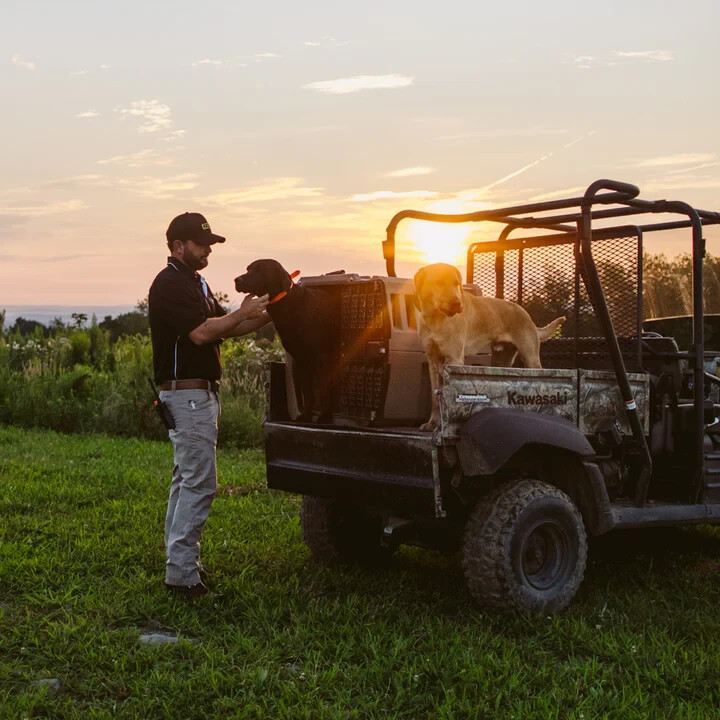 Dogtra Edge Waterproof 4-Dog Expandable Remote Training E-Collar with LED Light