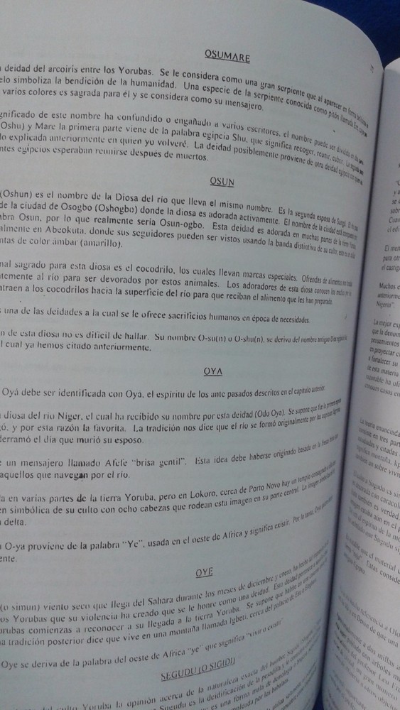 Libro DICE IFA Religion Yoruba Ifa