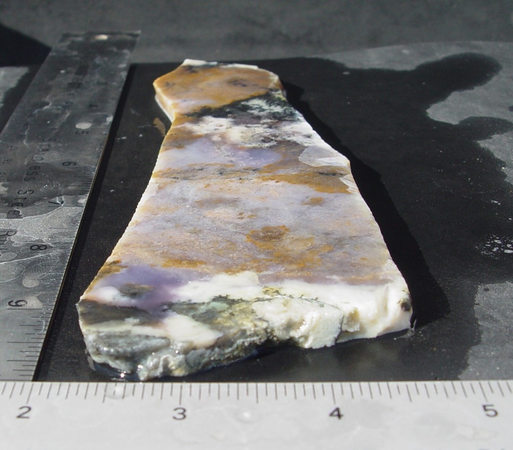 Amethyst Sage Dendritic Jasp Agate Lapidary Slab T926