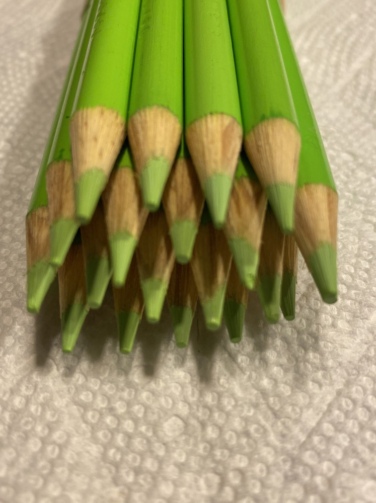 (20) Crayola Colored Pencils (palm leaf) BULK