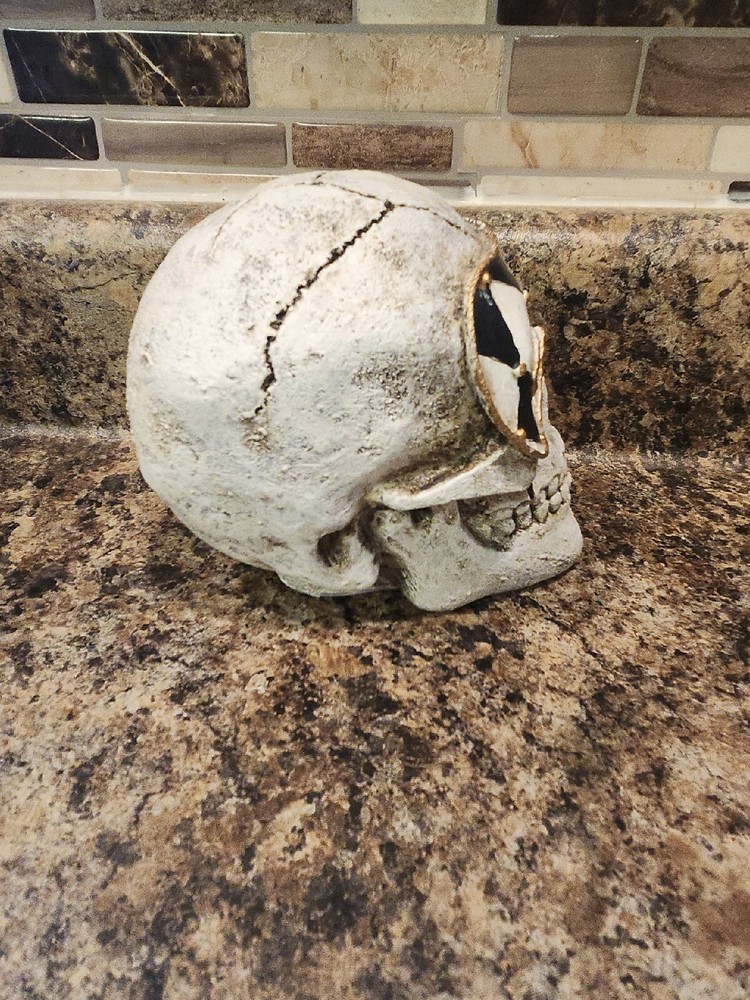 Skull with Masquerade Eye Mask.