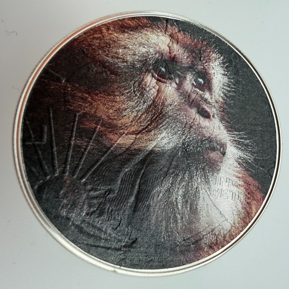 Curious Monkey - American Silver Eagle 1oz Limited Silver Dollar Coin