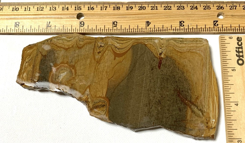 Shadow Mountain Picture Jasper Slab