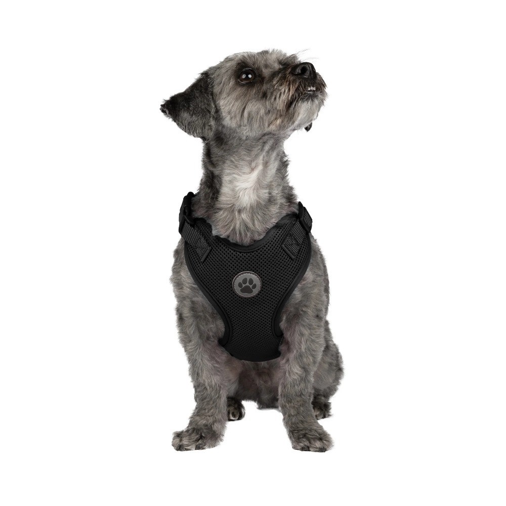 Mesh Adjustable Reflective Dog Walking Harness for Small Dogs Black