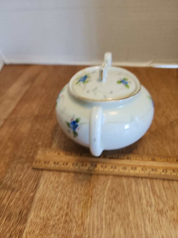 Hand Painted Nippon Covered Sugar Bowl