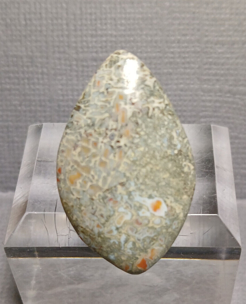 Dinosaur Bone Cabochon - Greenish Cells