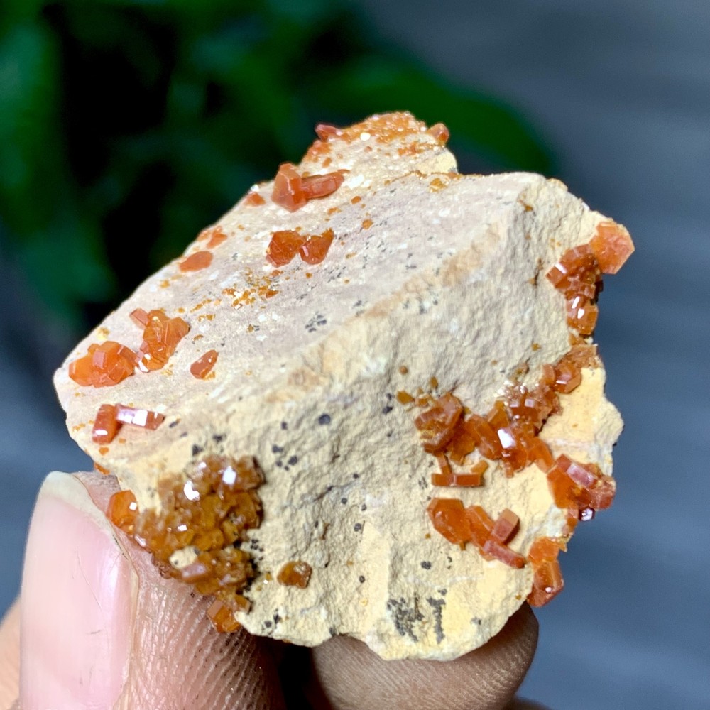 12GNatural Beautiful Vanadinite Atone Cluster Quartz Mineral SamplefromMorocco