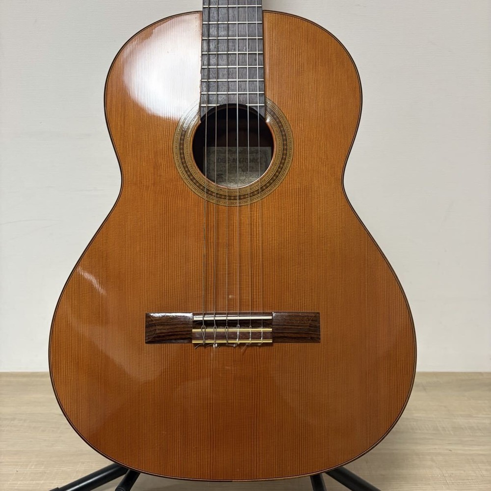 Jose Antonio Gut Classical Guitar Soft Case 6-String