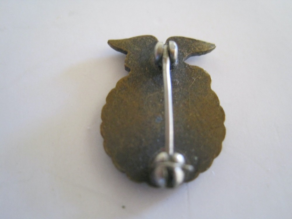 Vintage FFA Pin Future Farmers
