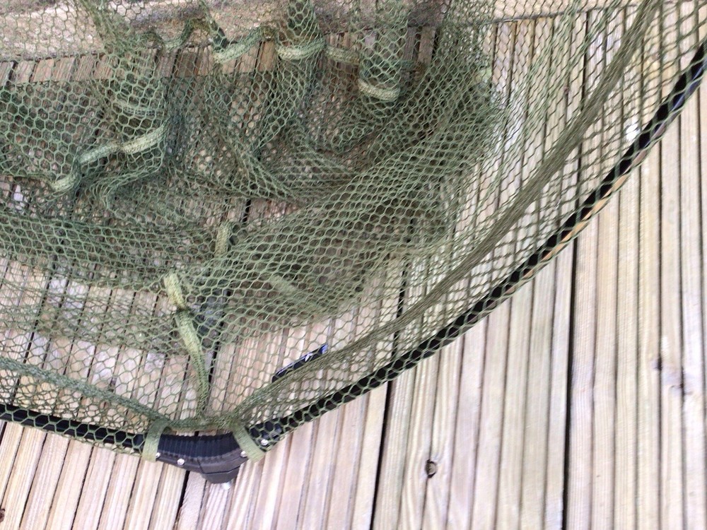 Discovery Rvs Folding Specimen (Net Only) & Bag