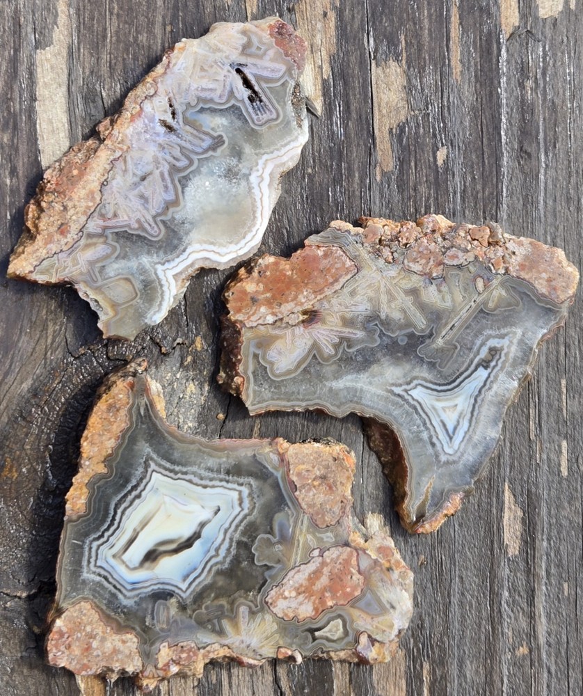 Turkish Agate Slabs Slices From One Stone Matching Lapidary Unique