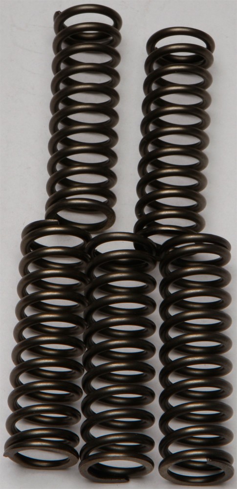EBC Clutch Spring Set - Clutch Springs - CSK169