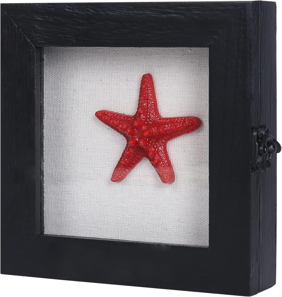 Shadow Box 6X6, Small Shadow Box Frame with Glass, Square Shadow Boxes Display C