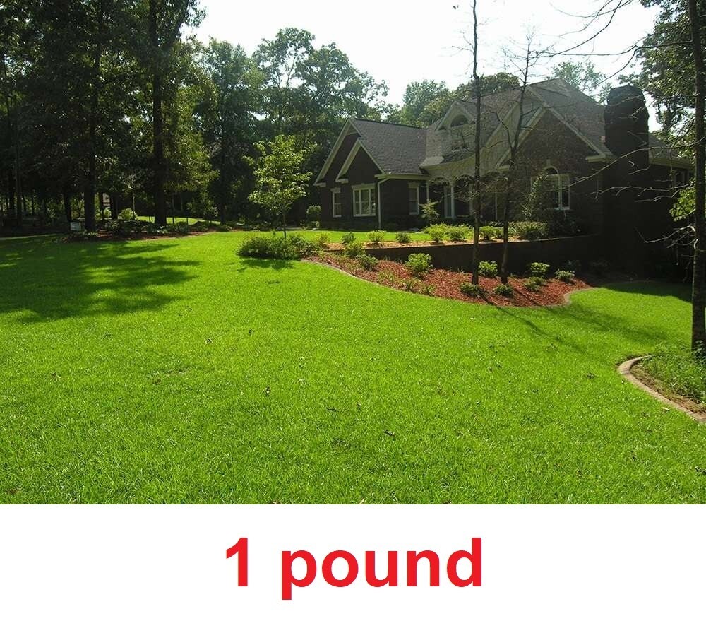 Centipede Grass Seed - 1 Lb.