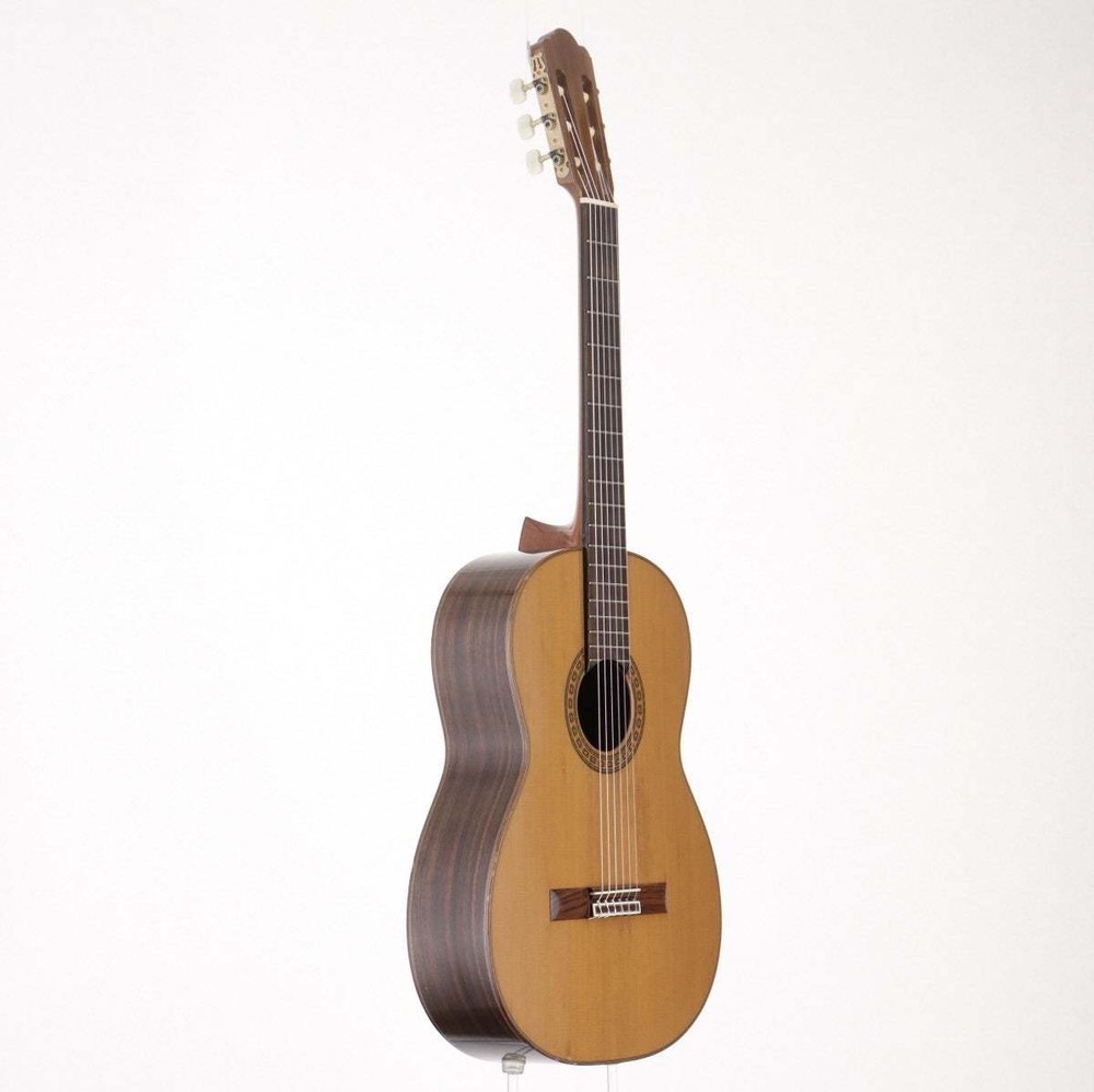 Asturias Classical Guitar with Hard Case