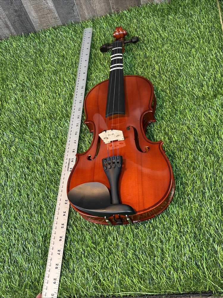 Unbranded 4/4 Violin w/ Case & D’Addario Prelude Strings – Missing 1 String